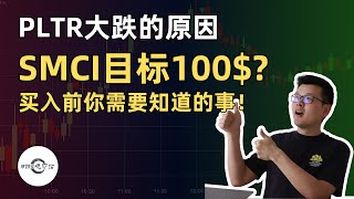 【10万美元投资挑战】SMCI目标100$?  Palantir大跌的原因｜财经观察站 #美股分析 #投资策略 #科技股 #期权 #smci #pltr #超微电脑