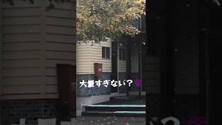 【閲覧注意】マスク必須！雪虫大量発生😱可愛い名前に騙されないぞ#虫