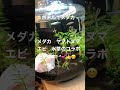 ボトルで　メダカ飼い始めました^ ^ 水草やヤマトヌマエビも共存のアクアリウムです^ ^ 癒され中です。