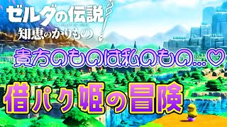 借りパク姫の冒険「ゼルダの伝説　知恵のかりもの」