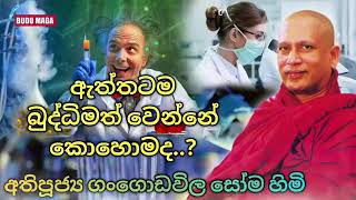 ඇත්තටම බුද්ධිමත් වෙන්නේ කොහොමද? ... // Gangodavila soma thero