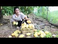 Yummy ripe mango recipe - Delicious country food cooking - Countryside life TV