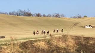 ココペリウエスタンライディング御一行様 in 久住高原童心回帰農場⑤(2018/3/31)