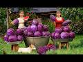 Harvest Japanese Luffa Goes To Countryside Market Sell - Harvest Melon | Tiểu Vân Daily Life