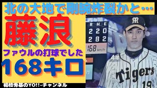 阪神・藤浪晋太郎投手が札幌ドームで168㎞を計時。スタンドのファンもどよめき。実はファウルボールの速度でした。