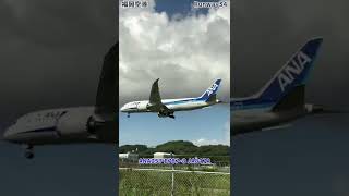 福岡空港 Runway34、ANA257便 B787-8 JA817A 着陸機（iPhone 12 Pro 動画）