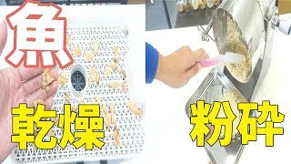 【鯛パウダー】魚（鯛）を乾燥・粉砕するとパウダーになるのか？