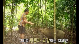 그 밀림, 동물과 교감하는 타잔이 산다