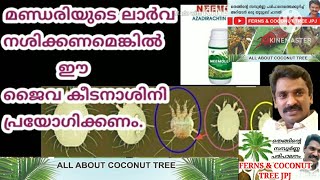 തെങ്ങിലെ മണ്ഡരി ശല്യം എന്താണ് പ്രതിവിധി..? PART:- 2 CHEMICAL METHOD. / HOW TO CONTROL COCONUT MITE