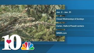 Ready to get rid of your Christmas tree? Here's how to recycle it in Knox County