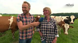 Koeknuffelen en photoshoot Stokkum