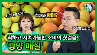 [착지프로젝트] 신한카드와 함께 착하고 지속가능한 소비를 위한 첫걸음! ‘지리적 표시 인증 받은 매실을 찾아서, 광양으로 고고’