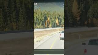 1500 km Canada amazing landscaping 🍁 waoo stunning beautiful ❤️ 8th October 2023 tour Alberta To BC