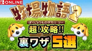 【牧場物語２】今すぐ使える！超攻略!!裏ワザ５選【SwitchOnline】