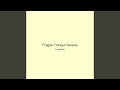 Fragile Tranquil Serene