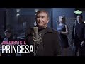 Amado Batista - Princesa (Amado Batista 44 Anos)