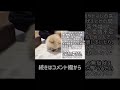 愛犬が必死で伝えてる愛情不足のサイン【犬の飼い方】