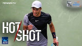 Hot Shot: Coric's Inventive Winner At Dubai 2018