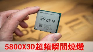 超頻瞬間燒燬！AMD遊戲神U銳龍7 5800X3D被暴致命BUG！