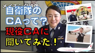 【航空自衛隊特別航空輸送隊のCAインタビュー動画】自衛隊のCAって？現役の自衛官CAに聞いてみた！