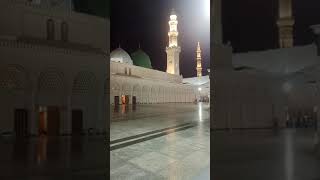 Mujraim hu jhain bhair ka mheshir main bharim rakhna ya Rasool Allah saw #foryou Madinah