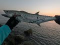 കരയിൽ നിന്നും ഒരു നെയ്മീൻ പിടുത്തം kingmackerel fishing