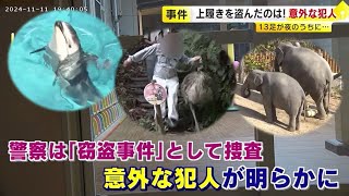 喜び、脱走、窃盗事件も！？  動物で振り返る2024年の福岡　こんなニュースがありました　／　(2024/12/25  OA)