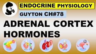 Ch#78 Physiology Guyton | ADRENAL CORTEX Hormones | Hormones | Dr Asif Lectures