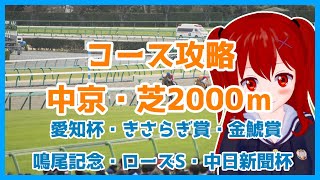 【5分でわかるコース攻略！】中京芝2000ｍ【きさらぎ賞】