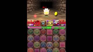 《パズドラ》天獄塔 超地獄級 x 絶世の紅龍喚士・ソニア