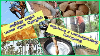 Preparation of palm jaggery and palm sugar in Tamil | அழிந்து வரும் பனை தொழில் என்ன தான் செய்வது