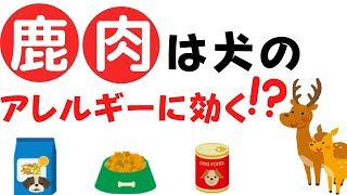 鹿肉が犬のアレルギーに効くって本当！？