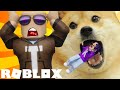 Get Eaten! (I unlocked every slide) | Roblox