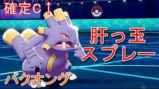 【ポケモン剣盾】私の推しポケモン「バクオング」の活躍　肝っ玉確定C上げ型