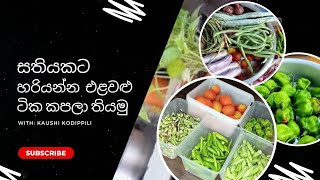 සතියටම උයන එළවළු එක දවසින් සුදානම් කරමු...☘️☘️preparing vegetables for week 🌸🌸