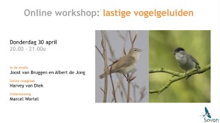 Online workshop: lastige vogelgeluiden