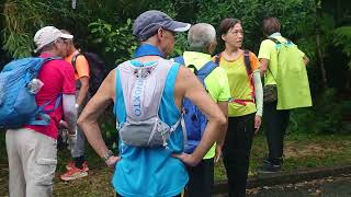 20230907 梨木樹村 城門下村 城門亭 城門道 城門水塘主霸 城門林道 水塘段 肥婆脊 麥徑7段  針山532M 城門林道 針山段 七弦琴左徑 福樂村 普光明寺 白田村 美田路 美林村 0012