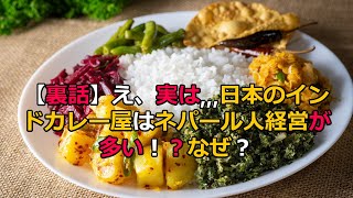 【裏話】え、実は…日本のインドカレー屋はネパール人経営が多い！？なぜ？