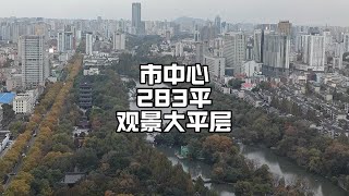 这个视野是别墅和洋房比不了的，市中心283平观景大平层。