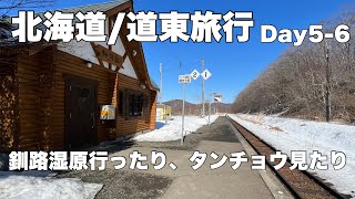 【最終日】釧路湿原に行って、鶴見台でタンチョウ見たり、京都へ帰ったり #北海道　#道東　#タンチョウ　#流氷　#釧路湿原　#hokkaido