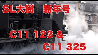 【東武鉄道 C11 123＆C11 325】 SL大樹 ～2025年の新年号を撮影した二日間～