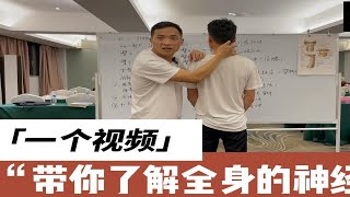 一个视频把全身的神经给你讲明白，正骨推拿从业者不可多得的学习内容