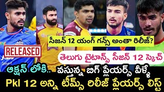 Pro kabaddi Pkl season 12 all teams released and retained players analysis list | Kiran fact | pkl12