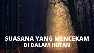 SUASANA MENCEKAM DIDALAM HUTAN