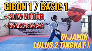 Gibon 1 Taekwondo + Slow Motion dan Nama Gerakan