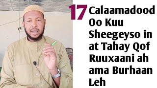 17 Calaamadood Oo Hadii at isku Aragto Ay Ku Tuseyso in at Tahay Ruuxaani ama Qof Burhaan Saaran