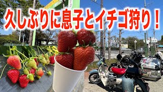 【モトブログ/Motovlog】＃376  　久しぶりに息子とイチゴ狩りツーリング！