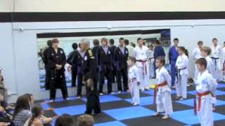 Shire Martial Arts Pre Teens In Our Caringbah Taekwondo Classes