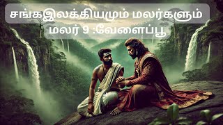 சங்கஇலக்கியமும் மலர்களும் மலர்09 - வேளைப்பூ | புறநானூறு பாடல் 215 | கோப்பெருஞ் சோழன்