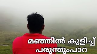 കോടമഞ്ഞിലും ചാറ്റമഴയിലും നനഞ്ഞൊരു യാത്ര !! paruthumpaara view point nerest vagamon